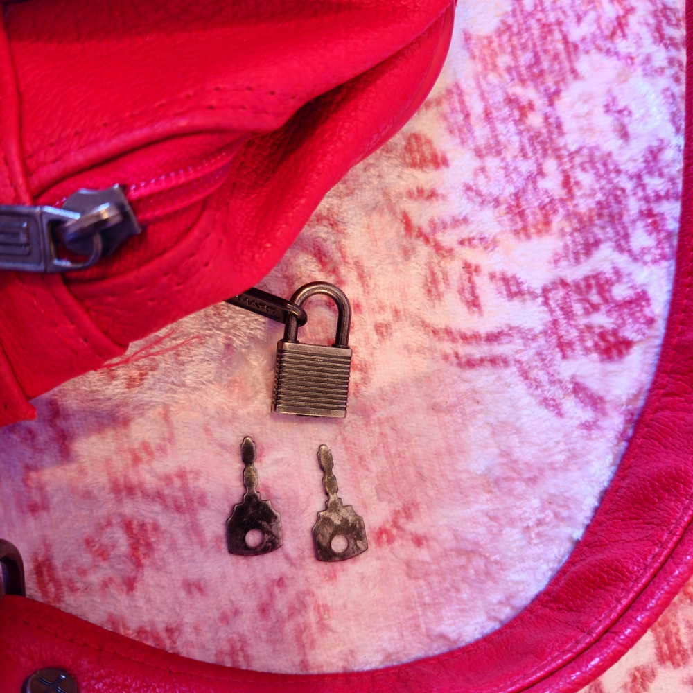 Vintage Amelia Earhart Elegant Red Travel Bag - Picture 5 of 10
